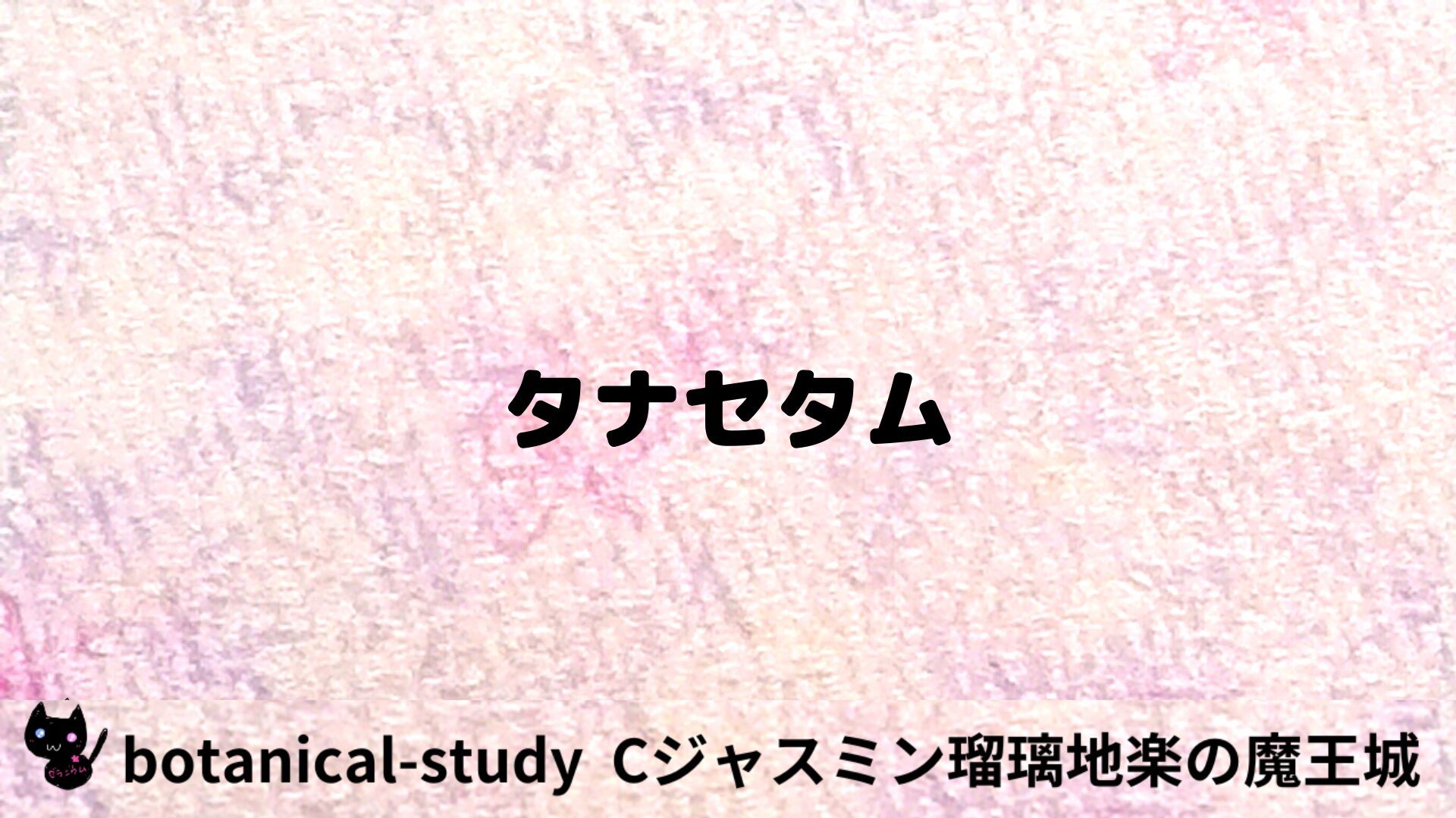 タナセタムのアロマハーブプチ辞典用アイキャッチ＠botanical-study