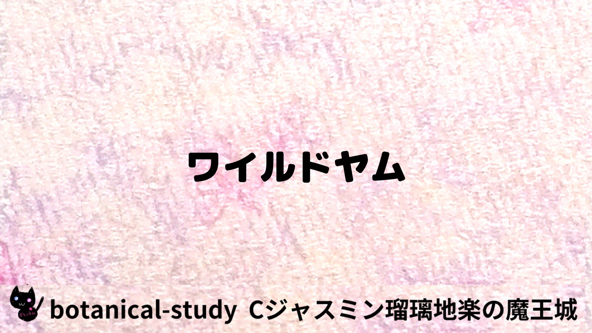 ワイルドヤムのアロマハーブプチ辞典用アイキャッチ＠botanical-study/ハーブ