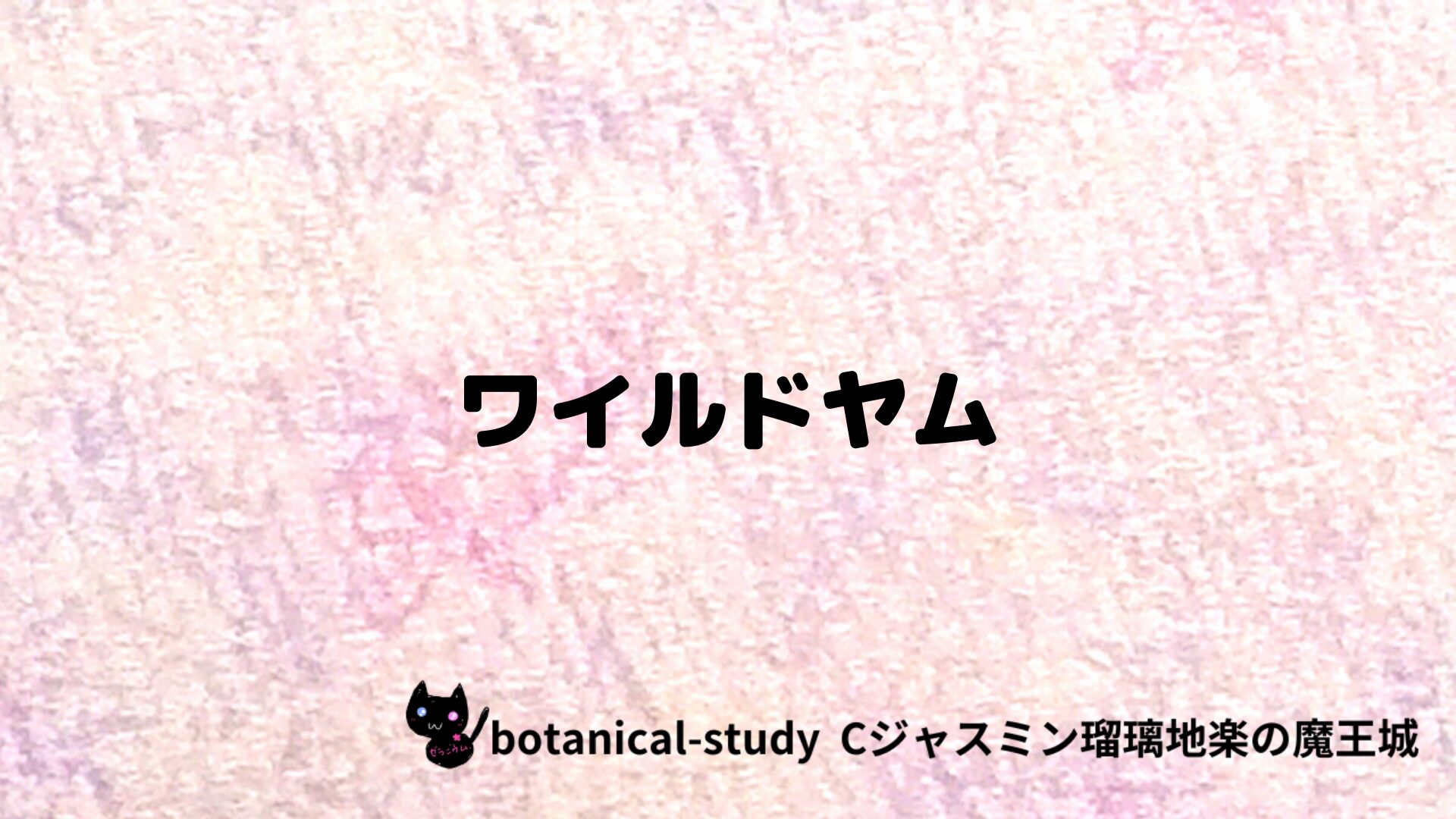 ワイルドヤムのアロマハーブプチ辞典クイズ用アイキャッチ＠botanical-study/ハーブ