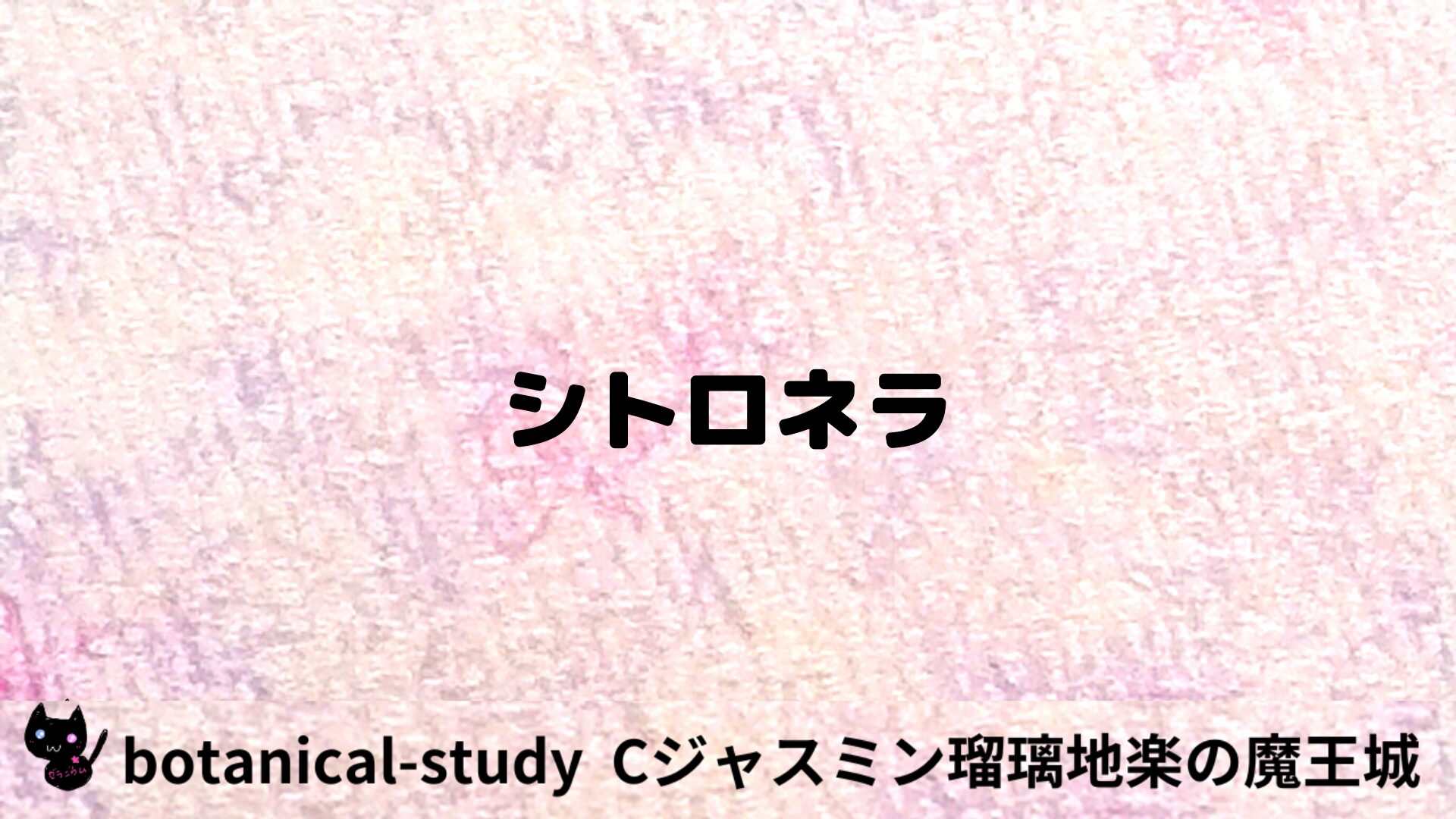 シトロネラのアロマハーブプチ辞典用アイキャッチ＠botanical-study