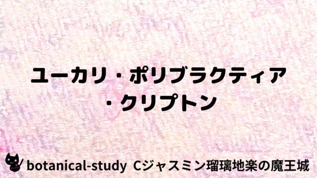 ユーカリ・ポリブラクティア・クリプトン：プチ辞典