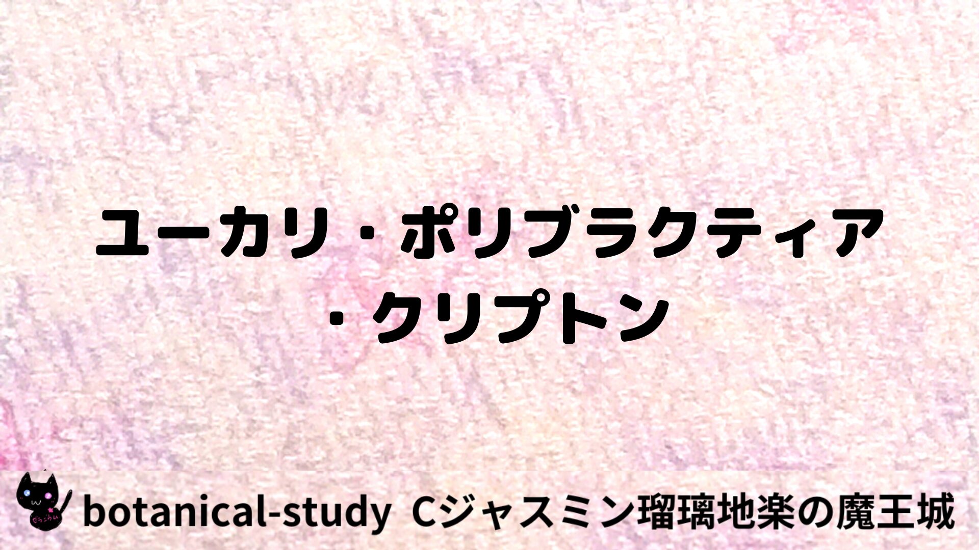 ユーカリ・ポリブラクティア・クリプトンのアロマハーブプチ辞典用アイキャッチ＠botanical-study