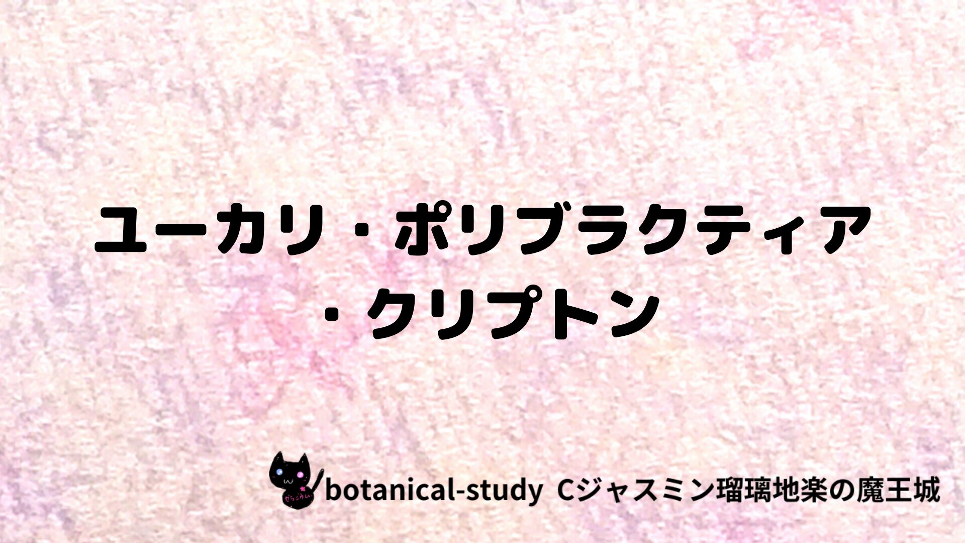 ユーカリ・ポリブラクティア・クリプトンのアロマハーブプチ辞典クイズ用アイキャッチ＠botanical-study