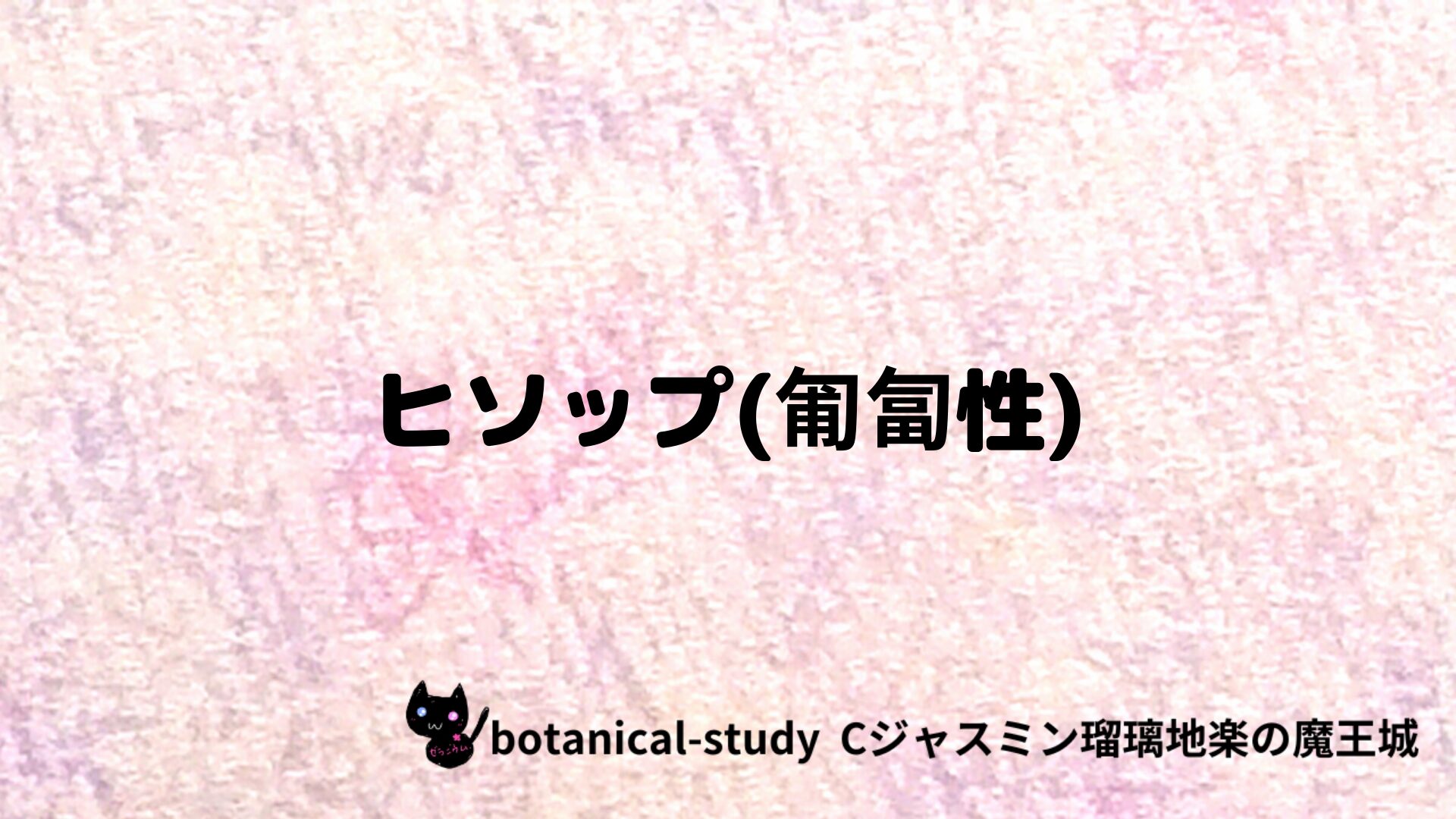 ヒソップ(匍匐性)のアロマハーブプチ辞典クイズ用アイキャッチ＠botanical-study