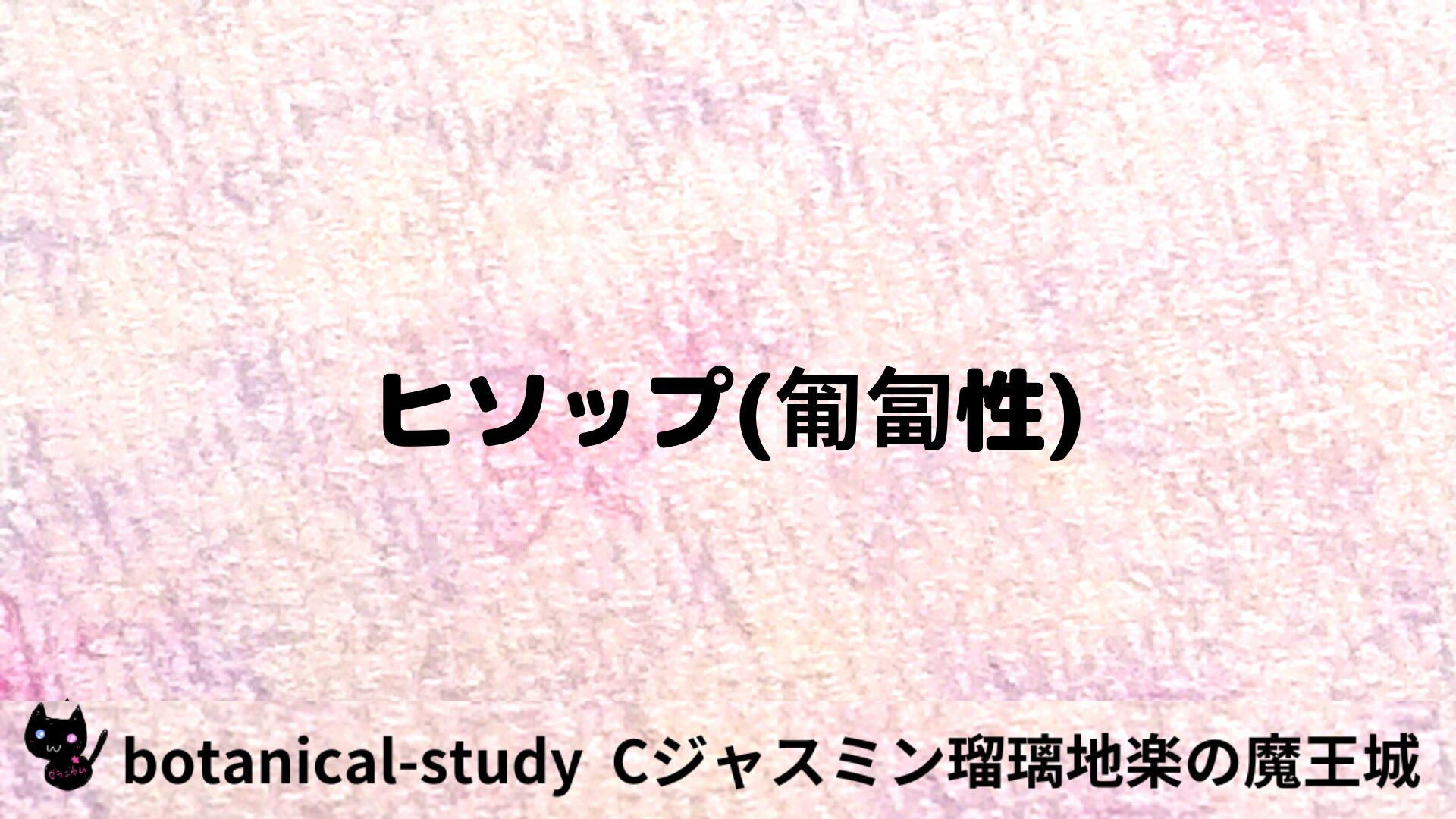 ヒソップ(匍匐性)のアロマハーブプチ辞典用アイキャッチ＠botanical-study