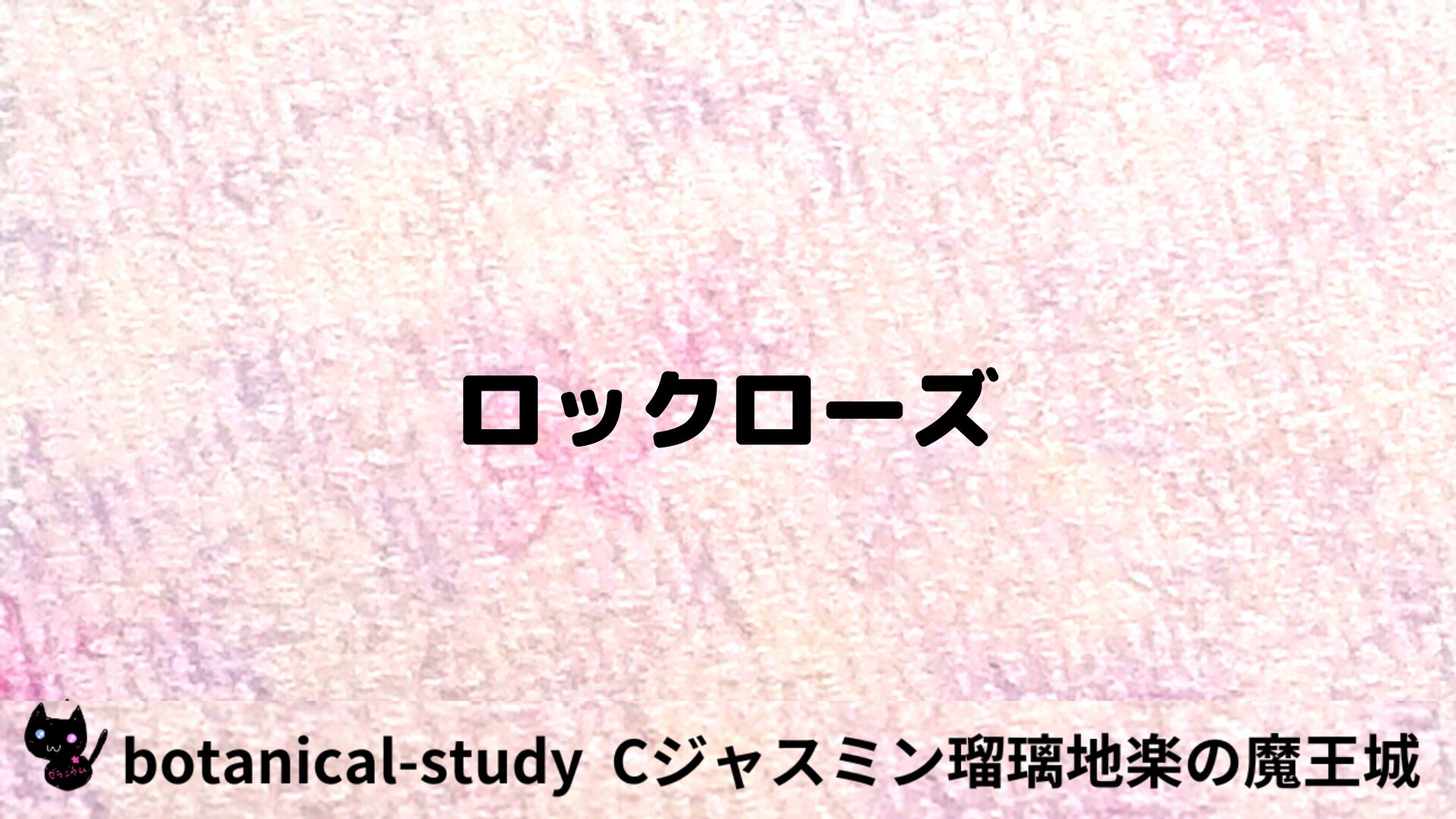 ロックローズのアロマハーブプチ辞典用アイキャッチ＠botanical-study