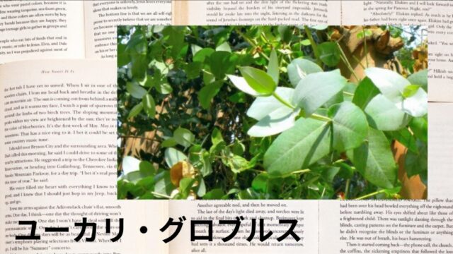 ユーカリ・グロブルス：プチ辞典