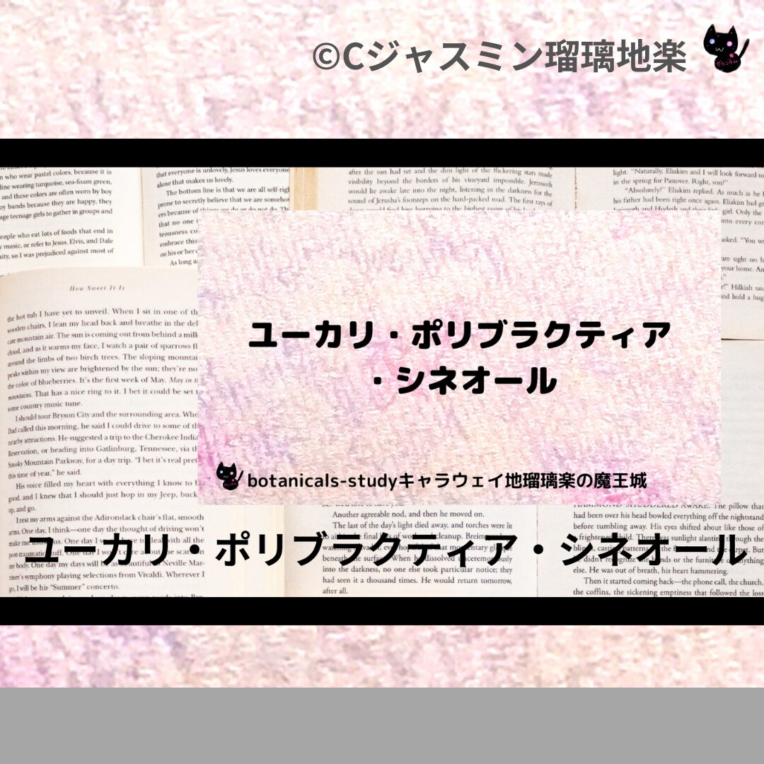 ユーカリ・ポリブラクティア・シネオールのアロマハーブプチ辞典クイズ用アイキャッチ＠botanical-study