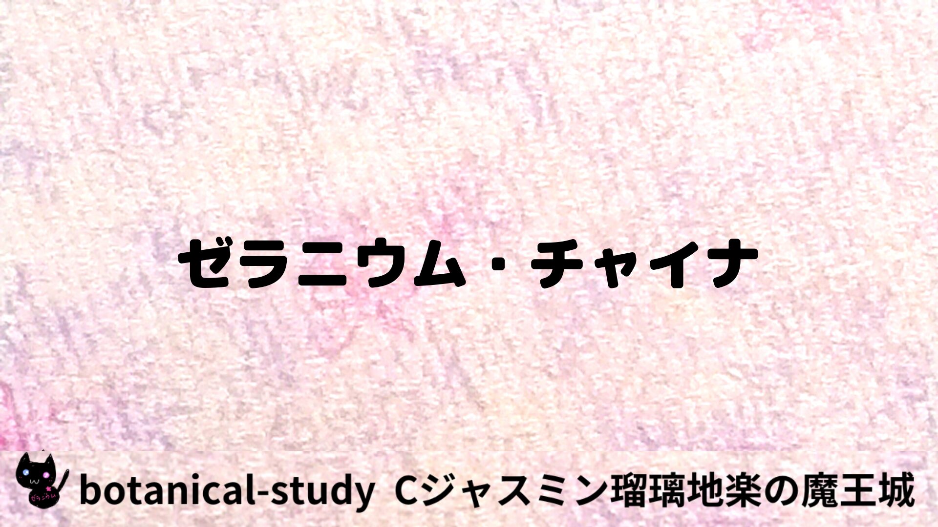 ゼラニウム・チャイナのアロマハーブプチ辞典用アイキャッチ＠botanical-study