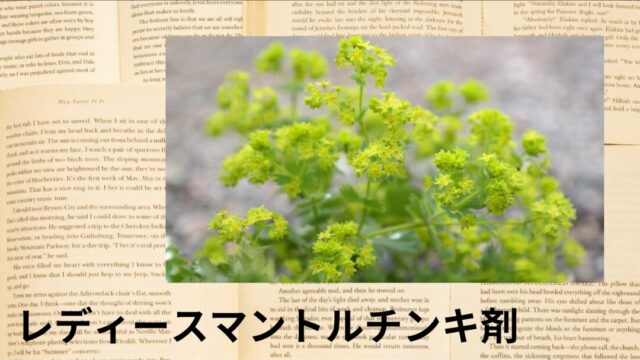 レディースマントルチンキ剤：プチ辞典