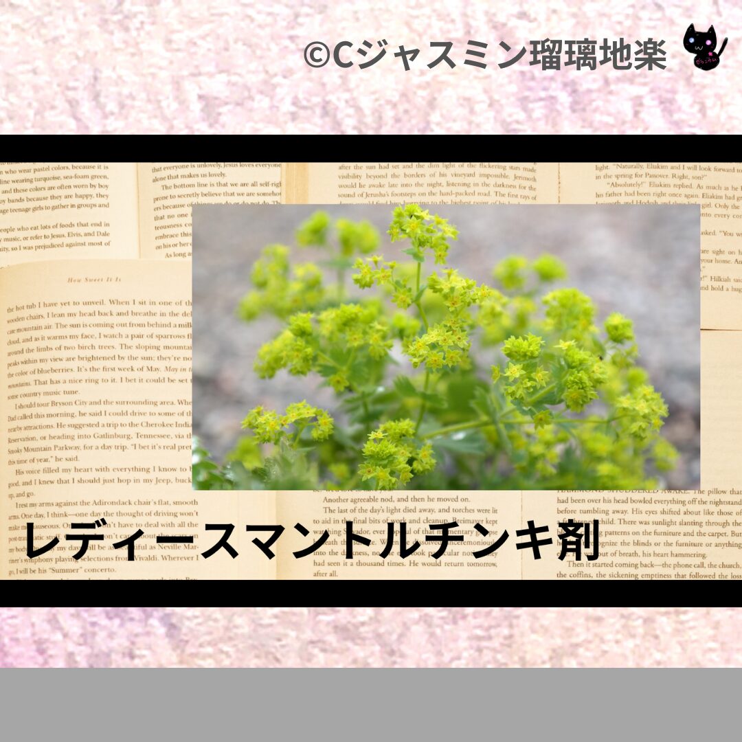 レディースマントルチンキ剤のアロマハーブプチ辞典クイズ用アイキャッチ＠botanical-study
