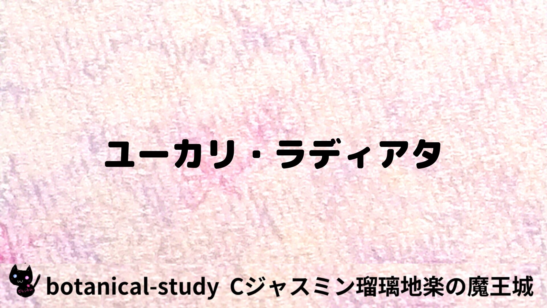 ユーカリ・ラディアタのアロマハーブプチ辞典用アイキャッチ＠botanical-study