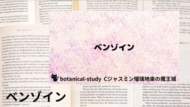 ベンゾイン:プチ辞典