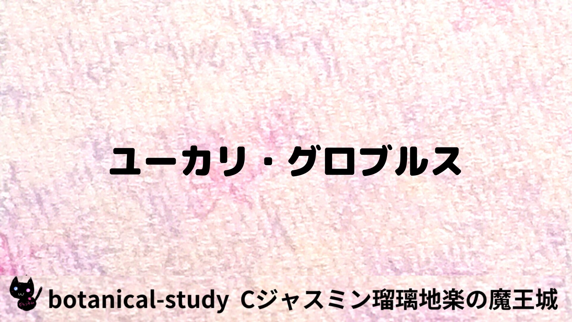 ユーカリ・グロブルスのアロマハーブプチ辞典用アイキャッチ＠botanical-study