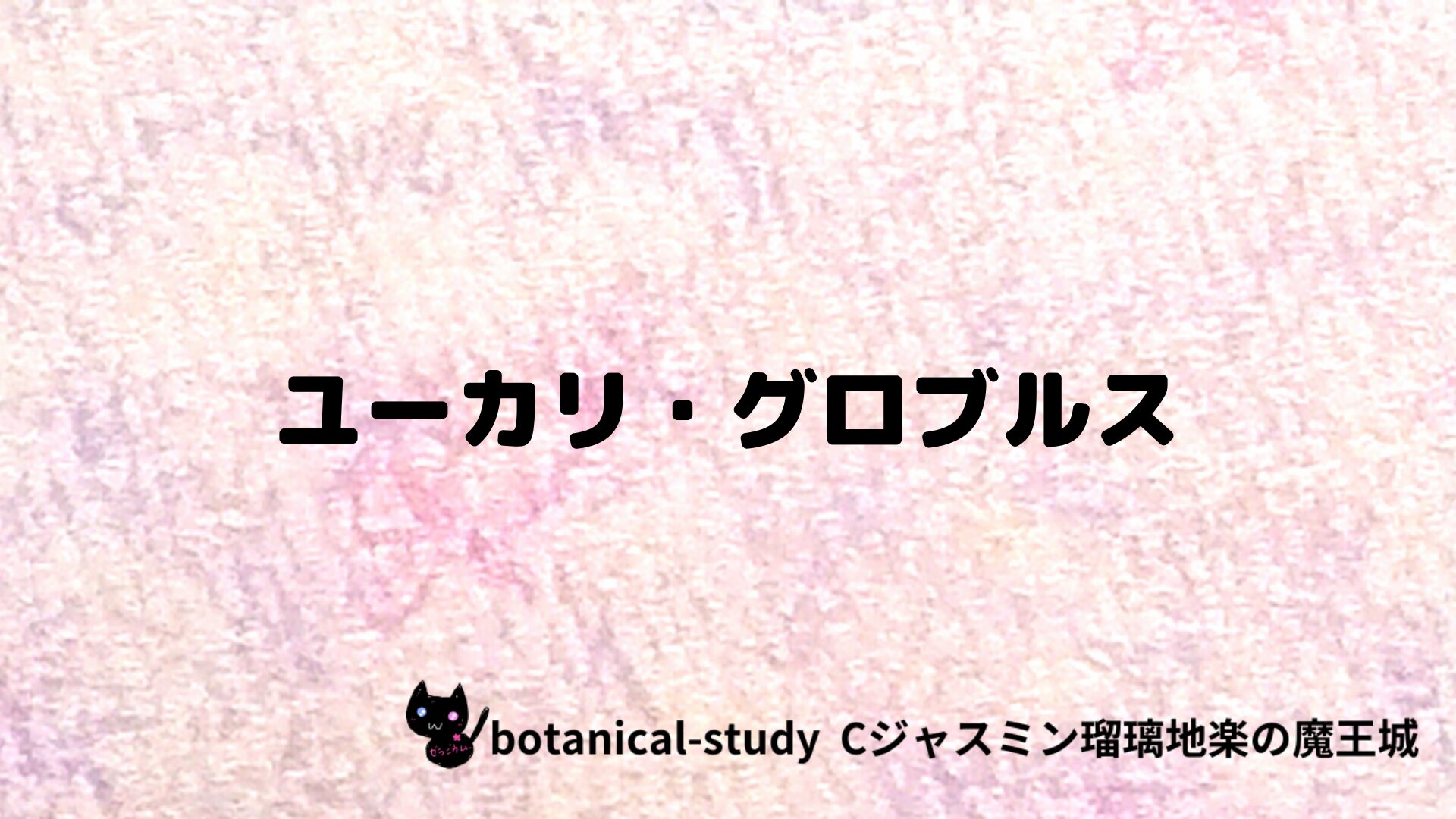 ユーカリ・グロブルスのアロマハーブプチ辞典クイズ用アイキャッチ＠botanical-study