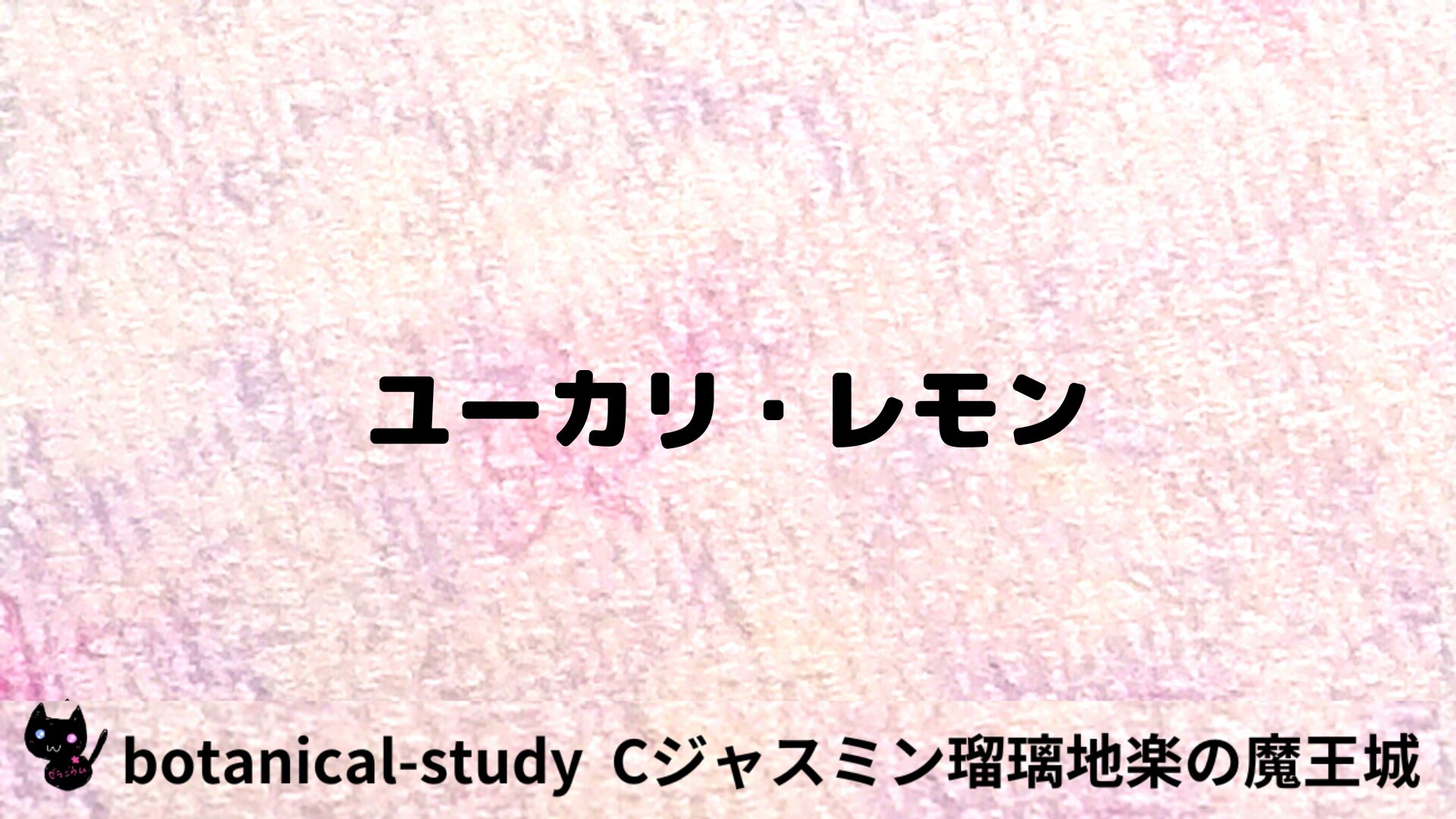 ユーカリ・レモンのアロマハーブプチ辞典用アイキャッチ＠botanical-study