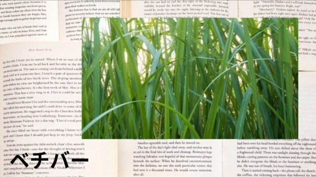 ベチバー:プチ辞典