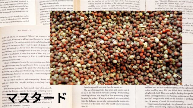 マスタード:プチ辞典