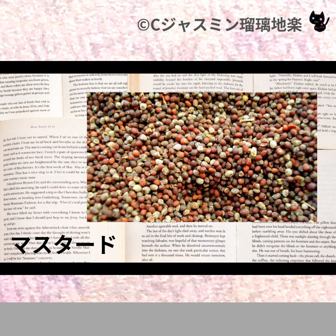 ヒバのアロマハーブプチ辞典クイズ用アイキャッチ＠botanical-study