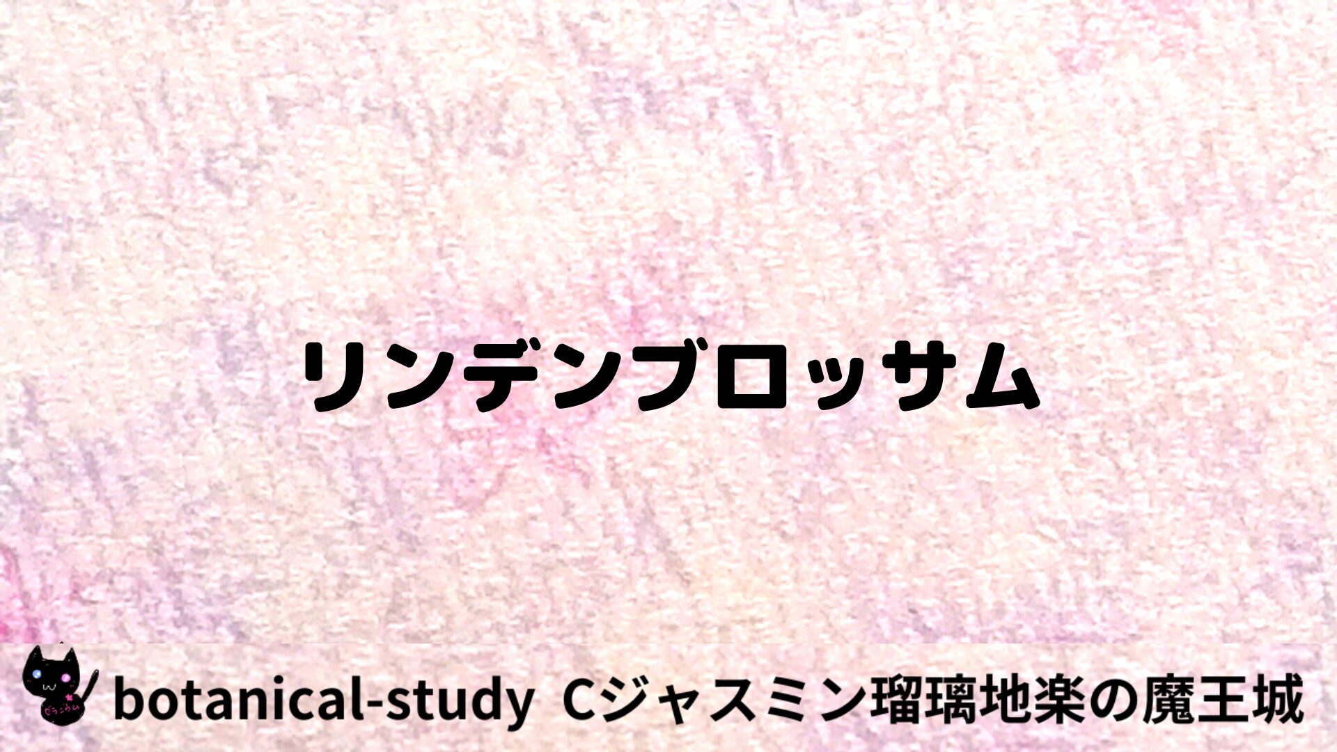 リンデンブロッサムのアロマハーブプチ辞典用アイキャッチ＠botanical-study