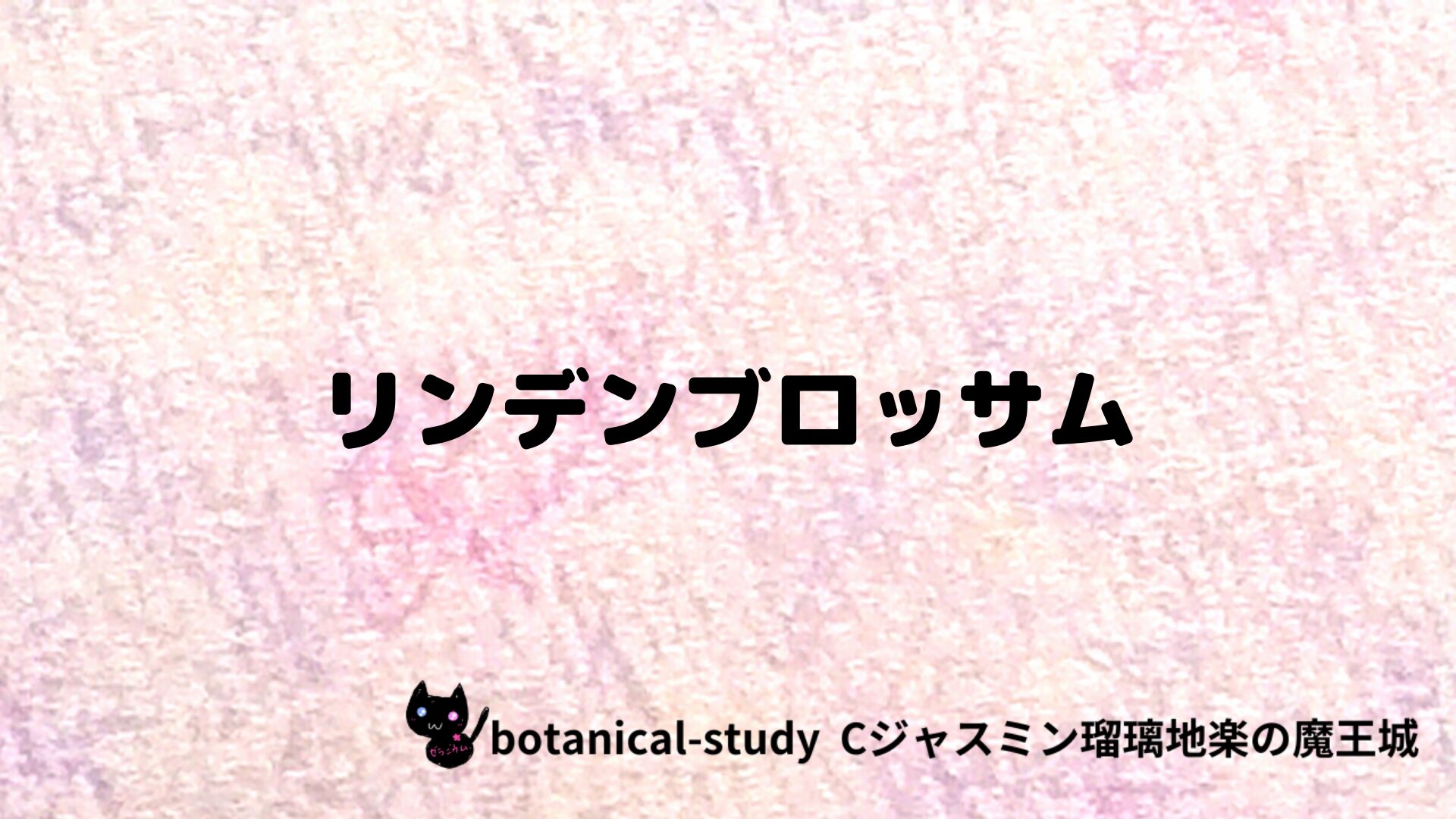 リンデンブロッサムのアロマハーブプチ辞典クイズ用アイキャッチ＠botanical-study