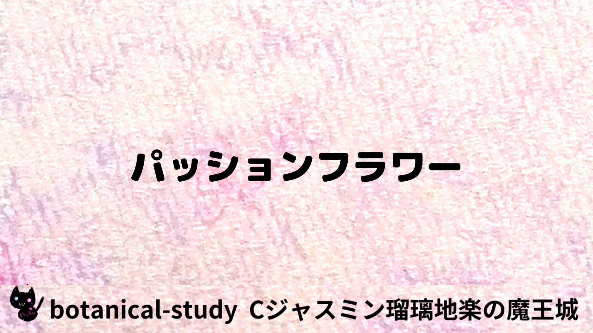 パッションフラワーのアロマハーブプチ辞典用アイキャッチ＠botanical-study/ハーブ