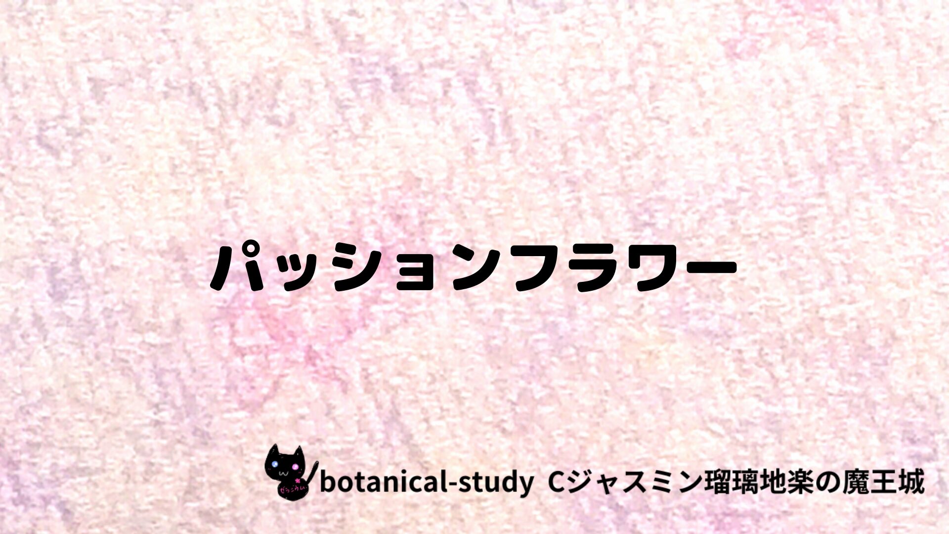 パッションフラワーのアロマハーブプチ辞典クイズ用アイキャッチ＠botanical-study/ハーブ