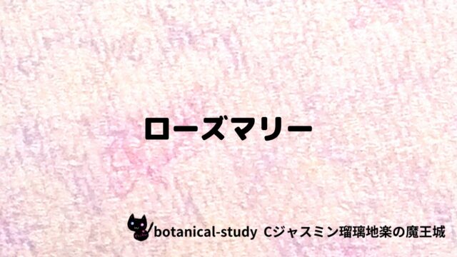 ローズマリー：プチ辞典クイズ