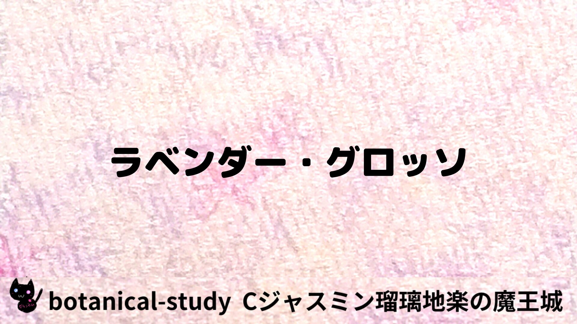 ラベンダー・グロッソのアロマハーブプチ辞典用アイキャッチ＠botanical-study