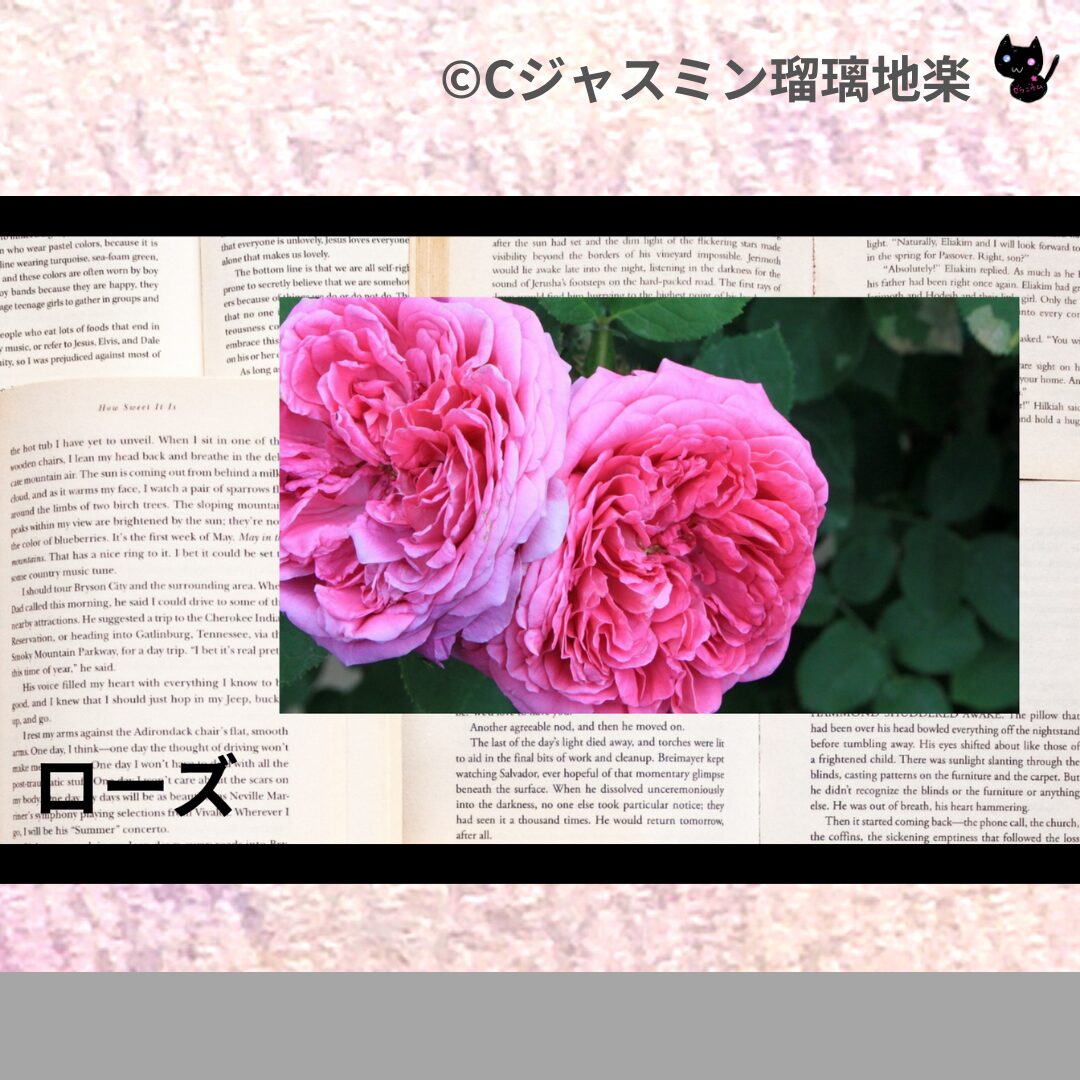 ベルガモットミントのアロマハーブプチ辞典クイズ用アイキャッチ＠botanical-study