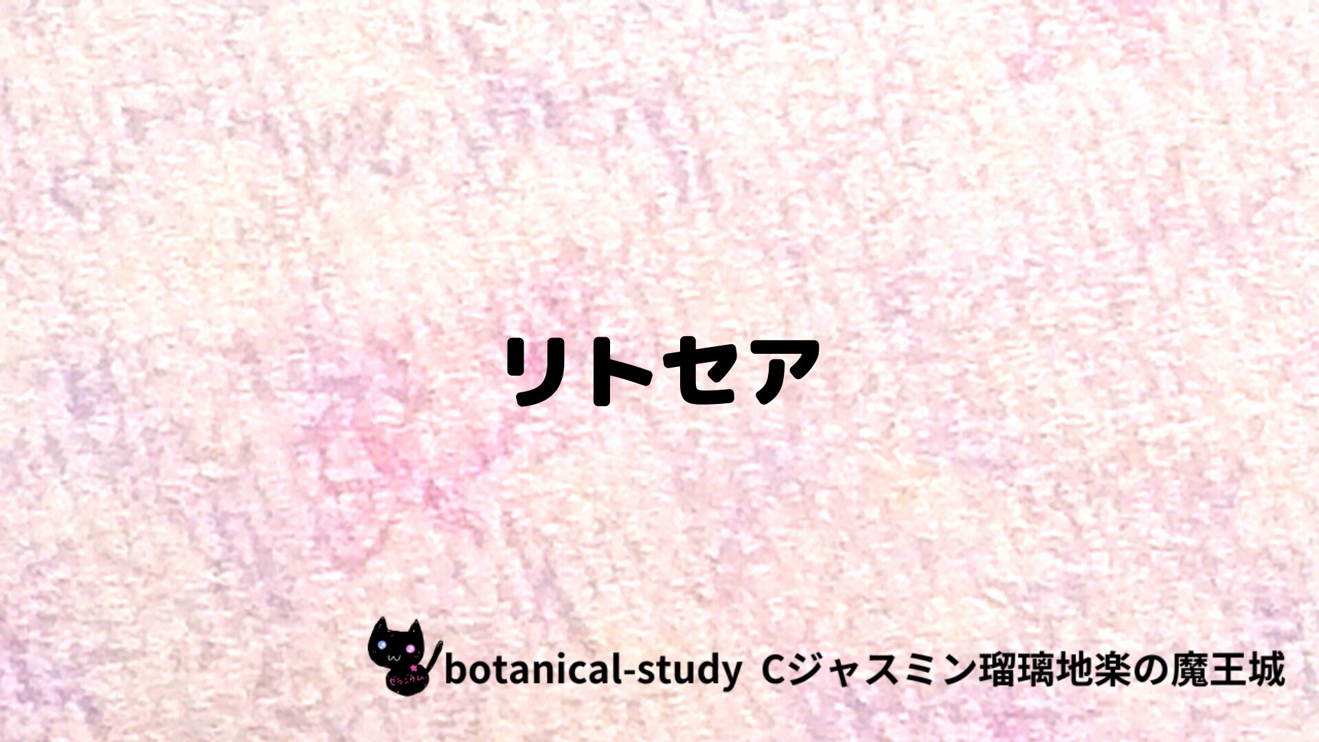 リトセアのアロマハーブプチ辞典クイズ用アイキャッチ＠botanical-study