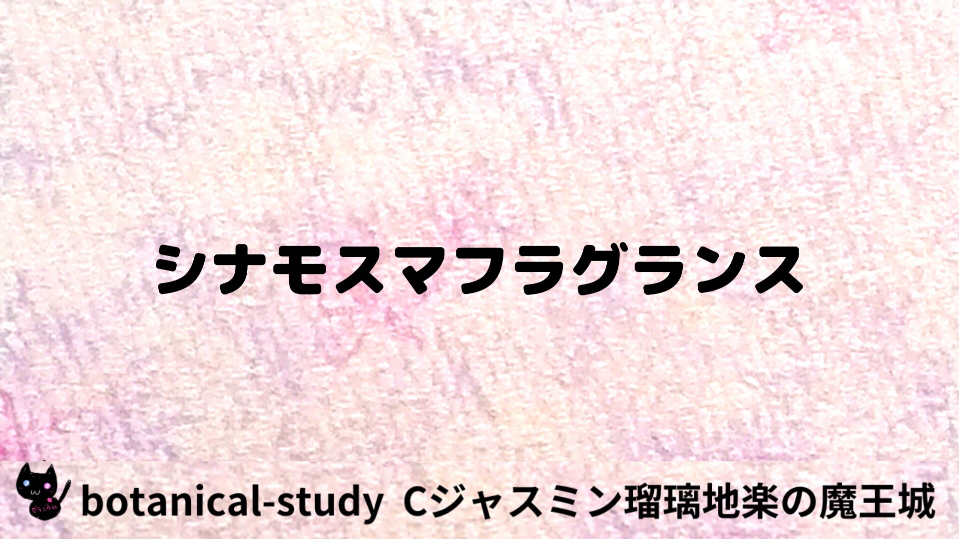 シナモスマ・フラグランスのアロマハーブプチ辞典用アイキャッチ＠botanical-study