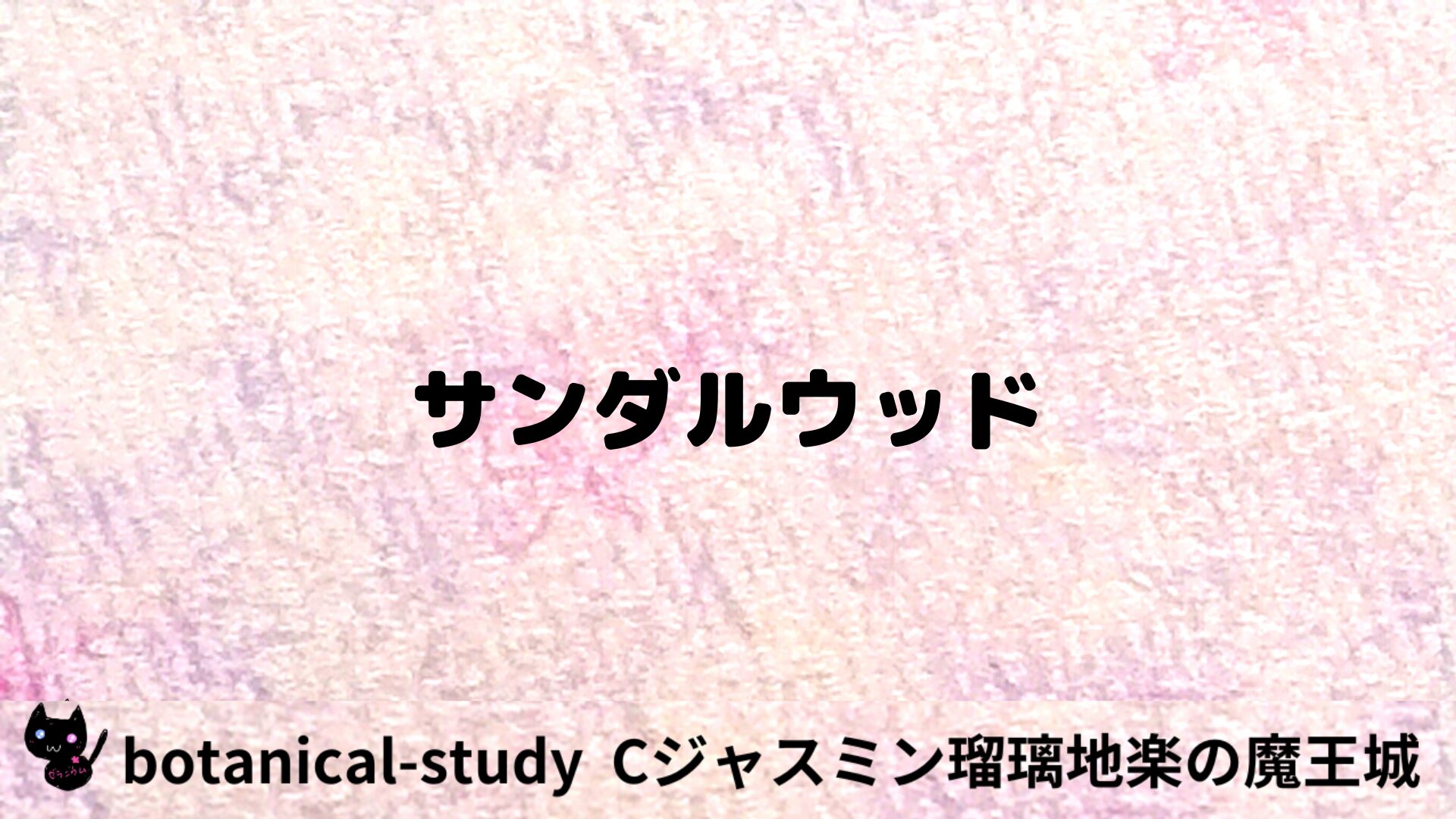 サンダルウッドのアロマハーブプチ辞典用アイキャッチ＠botanical-study