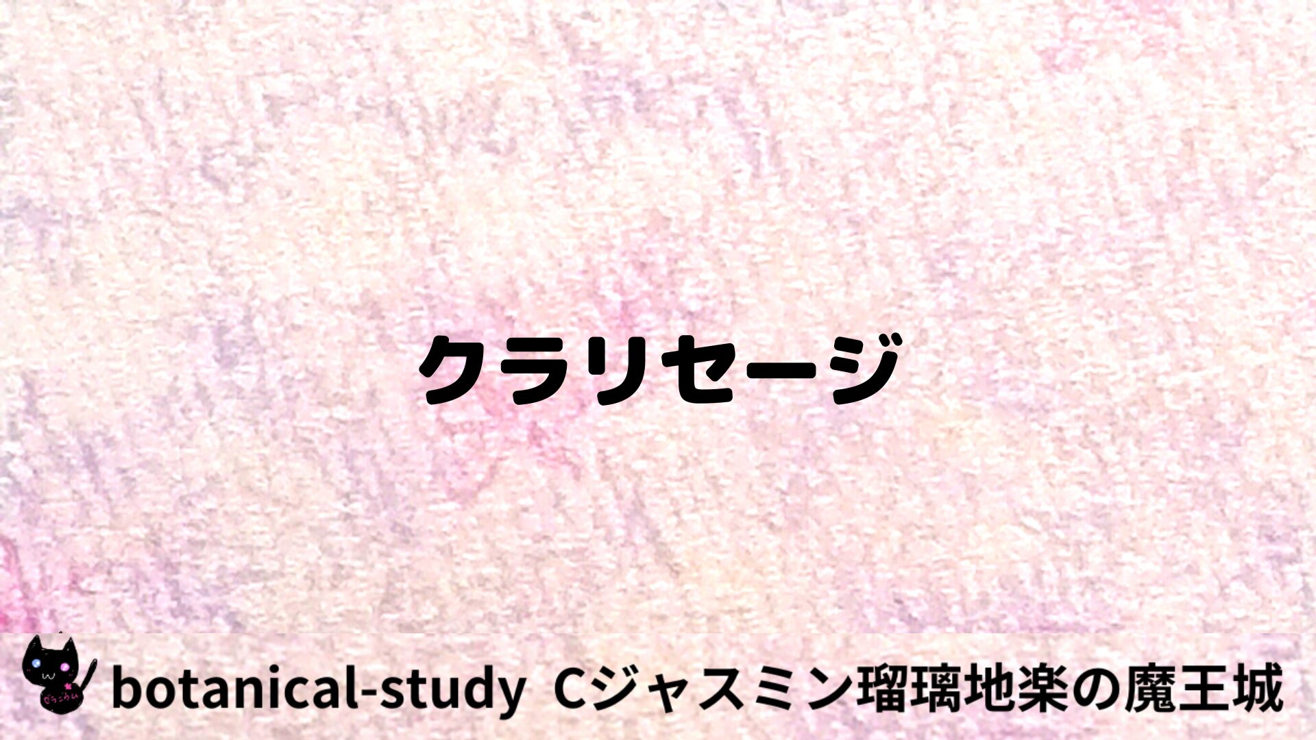 クラリセージのアロマハーブプチ辞典用アイキャッチ＠botanical-study