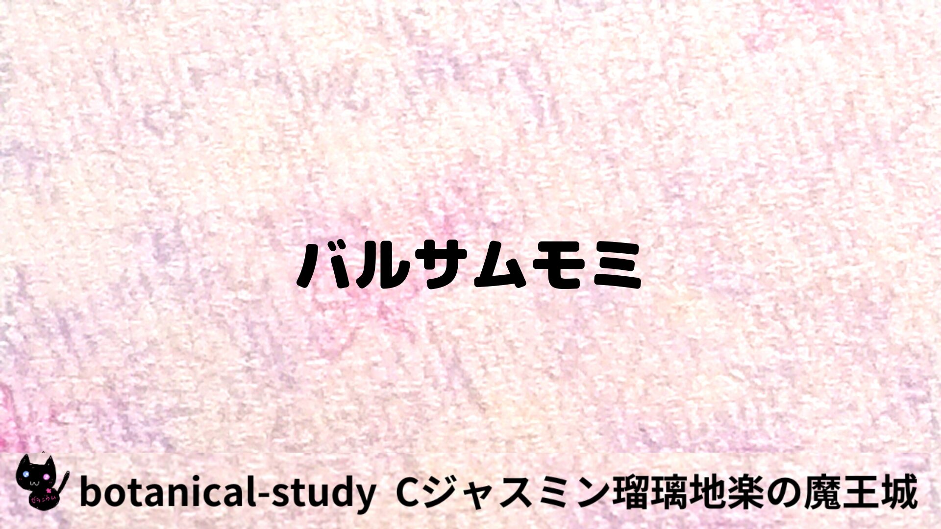 バルサムモミのアロマハーブプチ辞典用アイキャッチ＠botanical-study