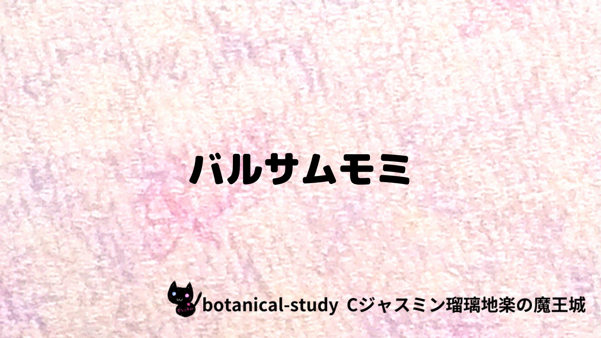 バルサムモミのアロマハーブプチ辞典クイズ用アイキャッチ＠botanical-study