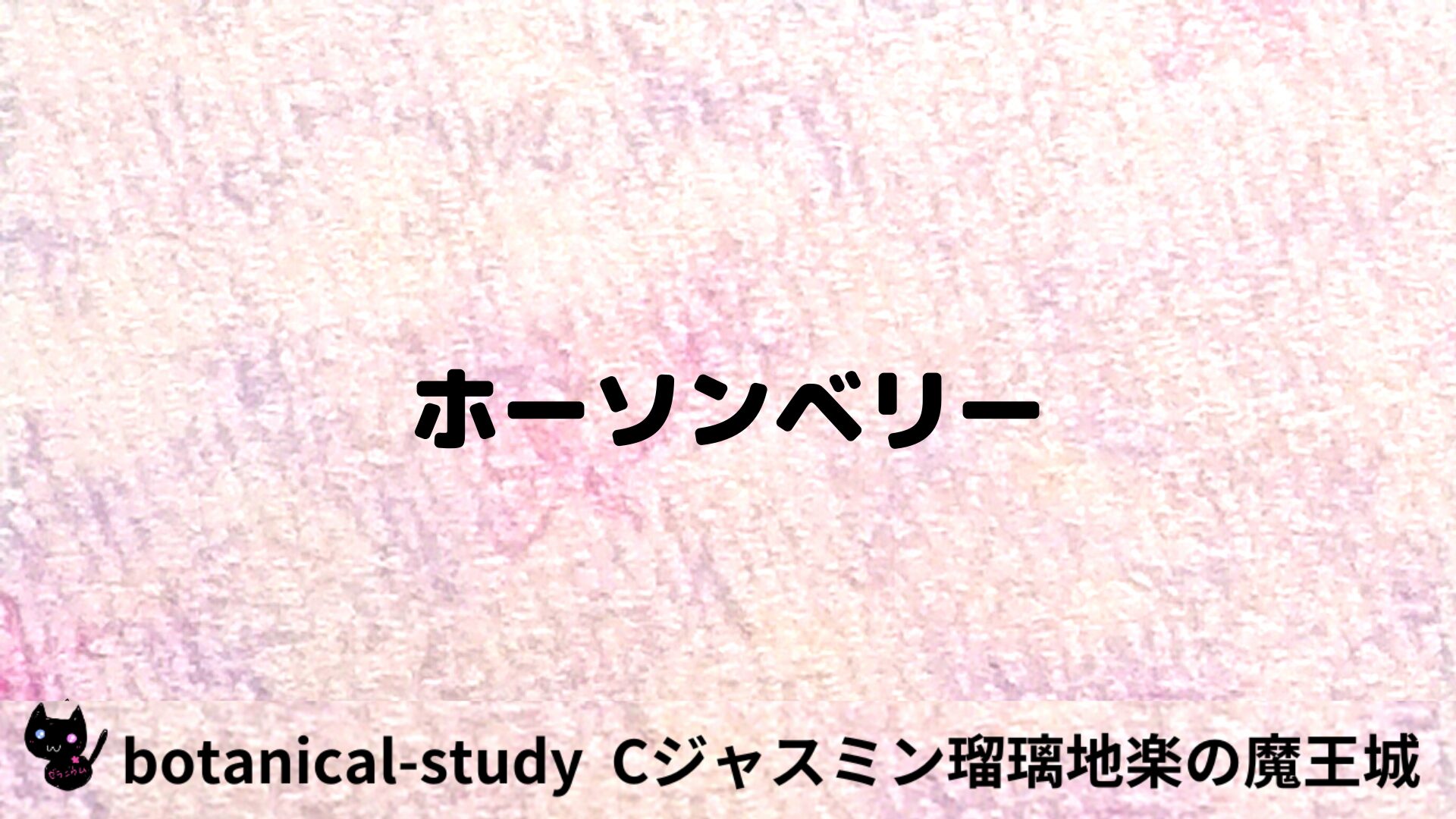 ホーソンベリーのアロマハーブプチ辞典用アイキャッチ＠botanical-study/ハーブ