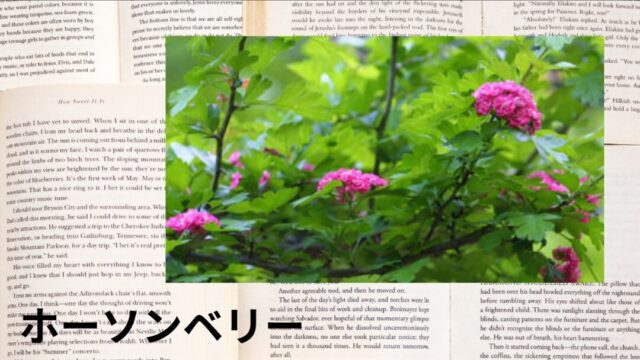 ホーソンベリー：プチ辞典