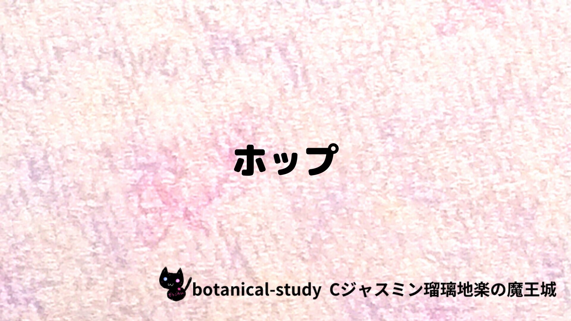 ホップのアロマハーブプチ辞典クイズ用アイキャッチ＠botanical-study/ハーブ