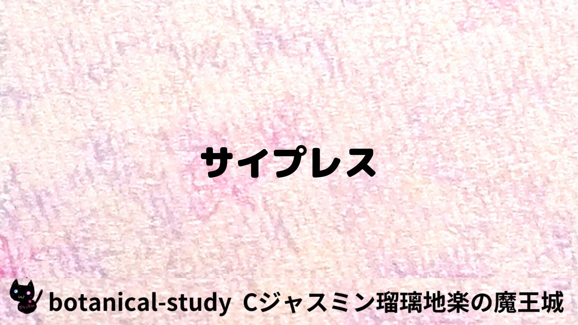 サイプレスのアロマハーブプチ辞典用アイキャッチ＠botanical-study