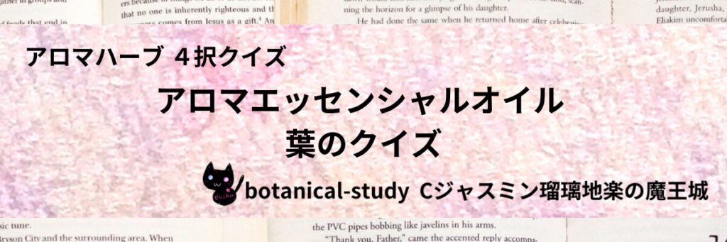 葉/アロマエッセンシャルオイル/カテゴリー＠botanical-study