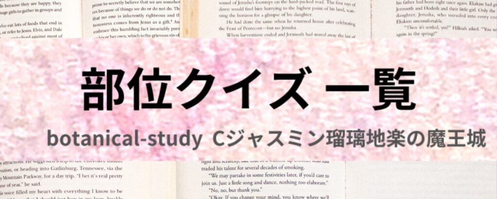 c-jasmine-rurichigaku-aroma-herb-4choice-quiz-part-quiz-category- botanical-study