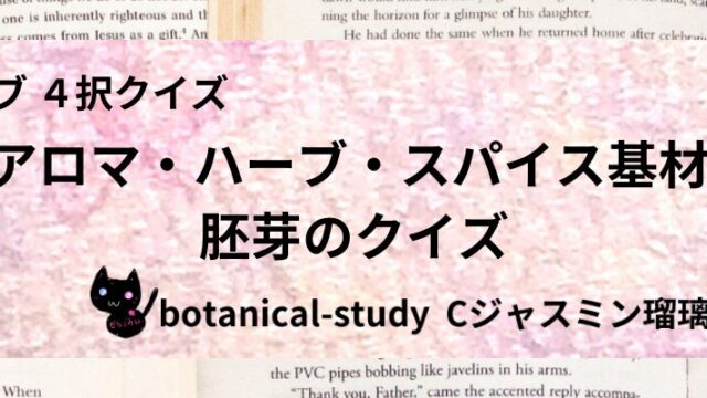 胚芽/アロマハーブスパイス基材/カテゴリー@botanical-study
