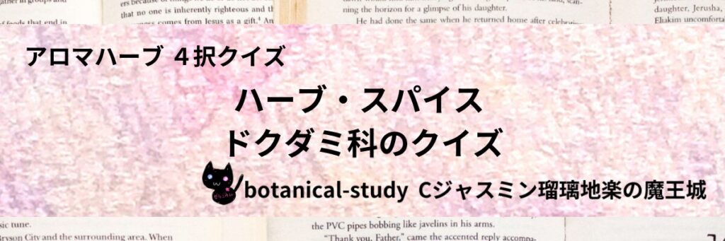 ドクダミ科/ハーブ・スパイス/カテゴリー＠botanical-study