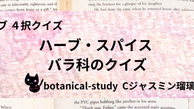 バラ科/ハーブ・スパイス/カテゴリー@botanical-study