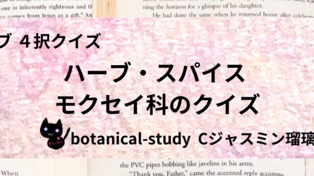 モクセイ科/ハーブ・スパイス/カテゴリー@botanical-study