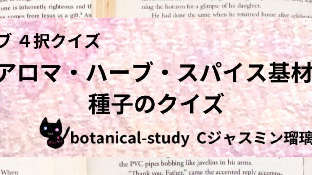 seed-aroma-herb-spice-base-category-botanical-study