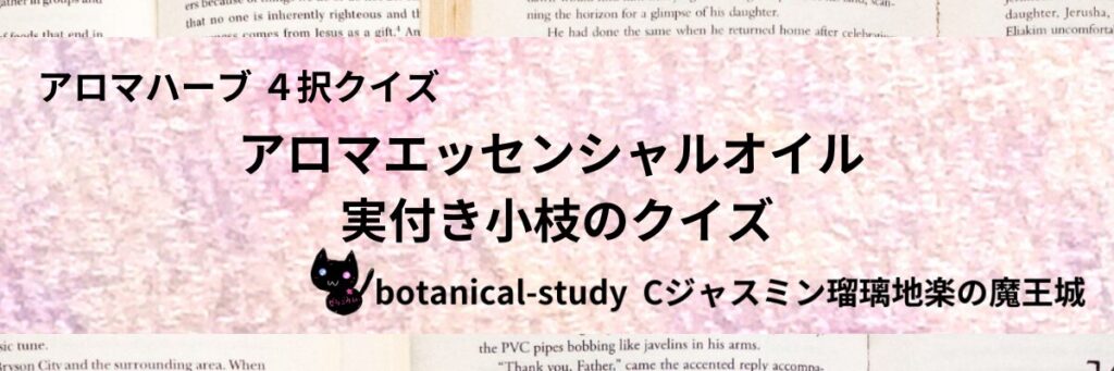 実付き小枝/アロマエッセンシャルオイル/カテゴリー＠botanical-study