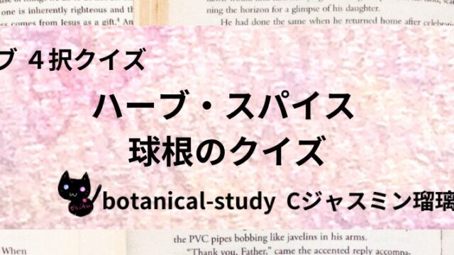 球根/ハーブ・スパイス/カテゴリー@botanical-study