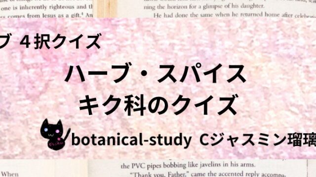 キク科/ハーブ・スパイス/カテゴリー@botanical-study